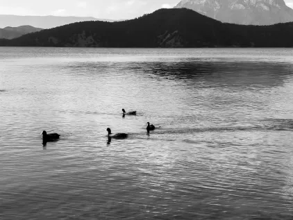 Casino Midas Mobilna aplikacija